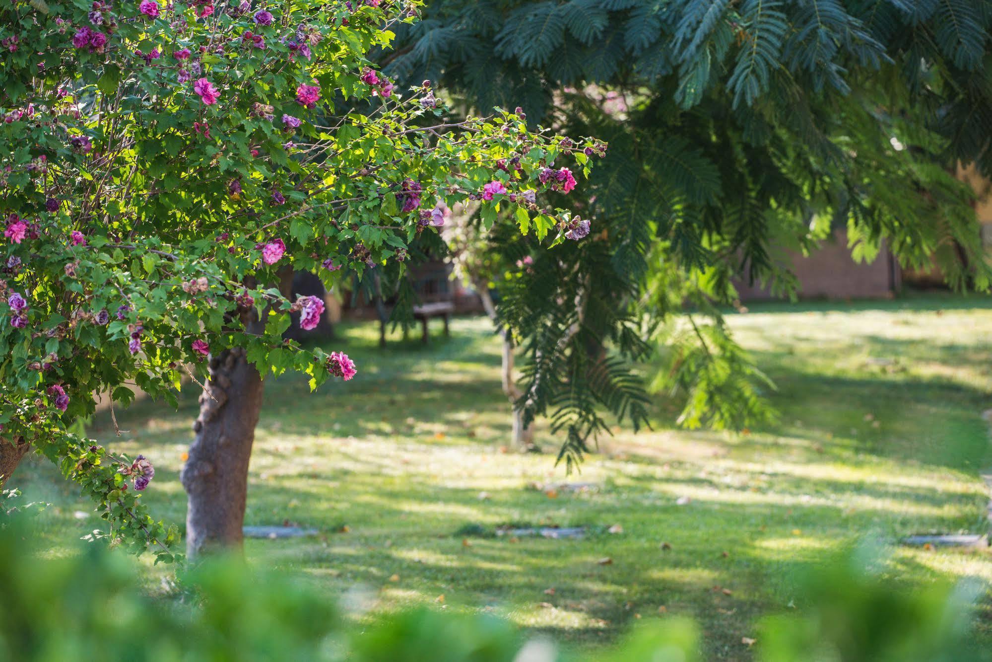 Plaza Hotel Alexandroupoli Bagian luar foto